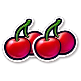 Cherry fruit symbol icon